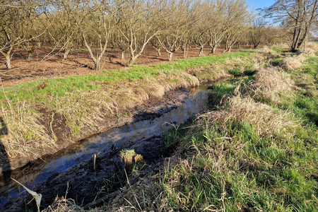 kleiner Bachlauf entlang Obstbaumplantage