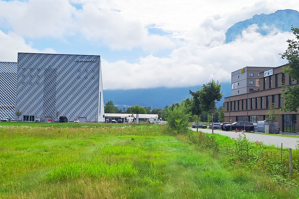 Gewerbegebäude im Hintergrund, Wiese im Vordergrund