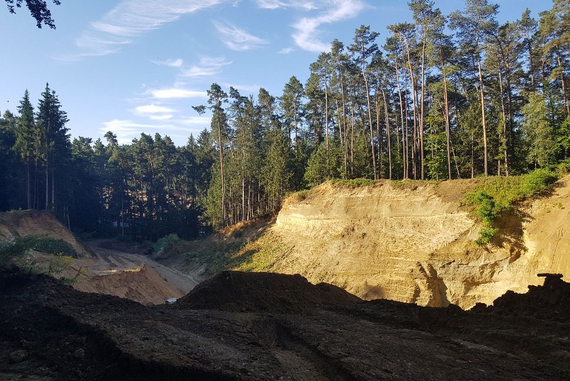 Klaffende Grube in einem Wald