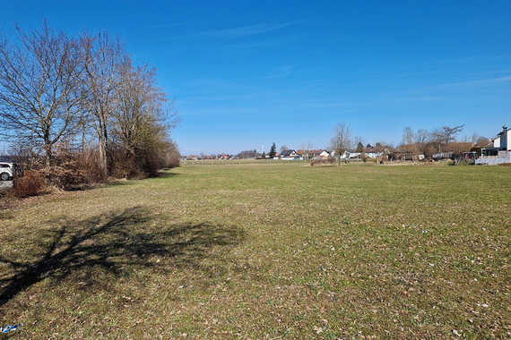 Wiese im Sonnenschein