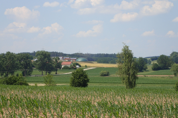 Maisfeld mit Anlage für Produktion von Biogas in Gemeinde Taufkirchen (Vils) in der Region München