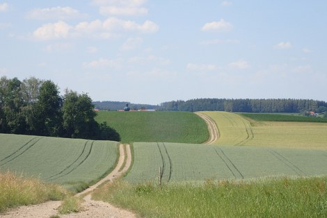 Felder mit Feldweg in der Gemeinde Taufkirchen (Vils) in der Region München