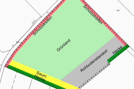 Karte einer Brachfläche mit Wald, Büschen, Wiesen als Lebensraum für Pflanzen und Tiere