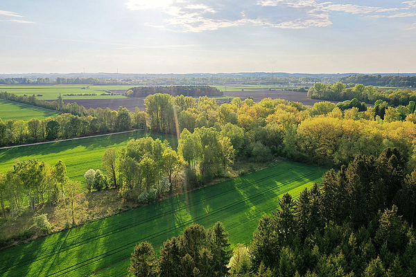 Heckenlandschaft am Unterschleißheimer See, Tour: Fische, Bier und Mooslandschaft © Stefan Gerstorfer